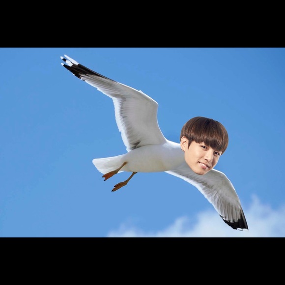 Meet your Posher, Jemma Blackstairs. - Picture 1 of 1